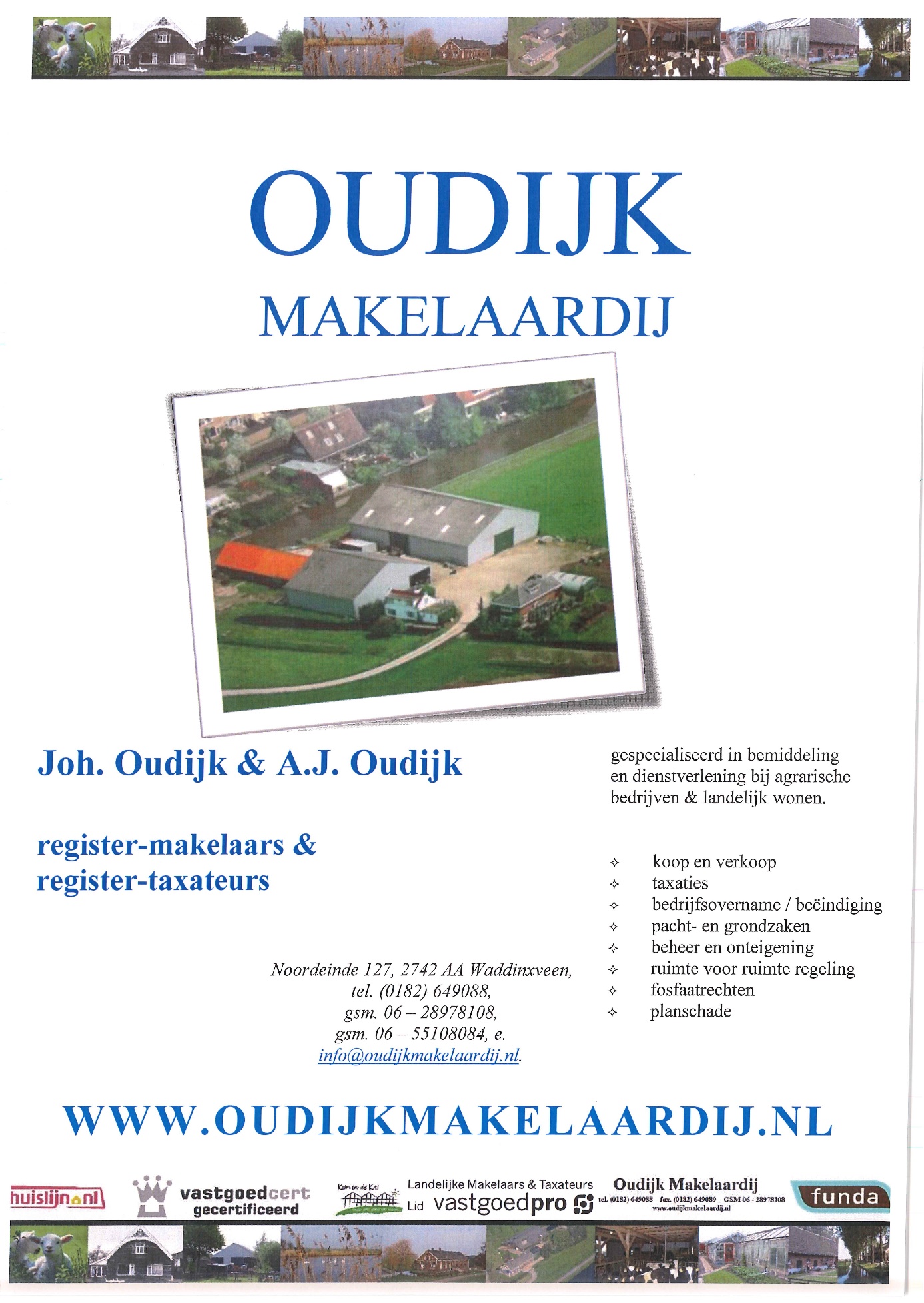 balk website 02b
